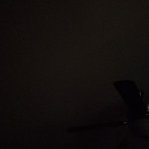 Meet your Posher, Trisha